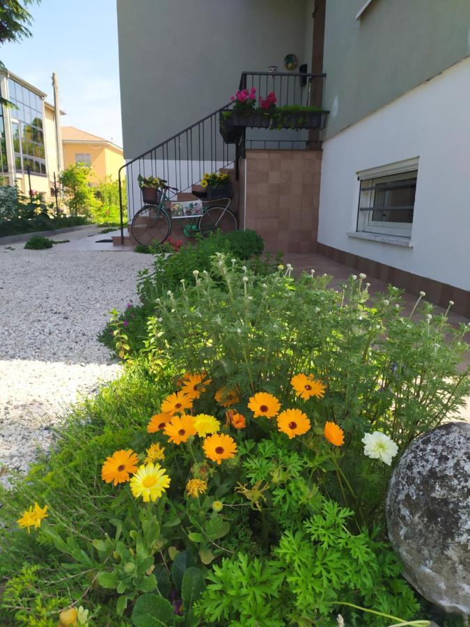 Casa Vacanze I Giardini Di Marzo San Giorgio di Mantova Eksteriør billede